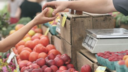 Эксперты подсчитали стоимость минимального набора продуктов для воронежцев на месяц