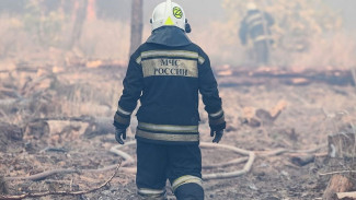 В Воронежской области потушили последний крупный пожар