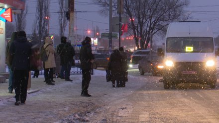 Мэр Воронежа потребовал создать горячую линию для жалоб на водителей маршруток