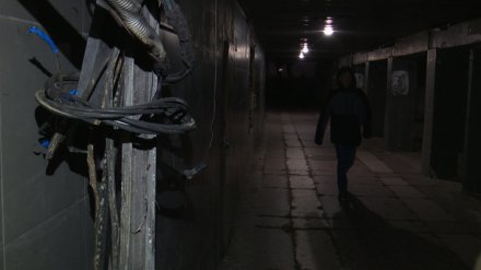 Власти Воронежа нашли инвестора для обновления подземного перехода у Политеха