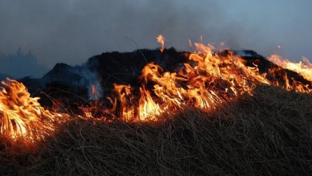 Сотрудники МЧС потушили мощный пожар в воронежском селе