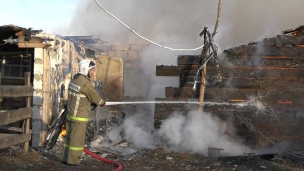 В воронежском райцентре при пожаре погибли 24 коровы