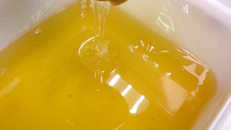 Воронежцев пригласили испробовать алтайский мёд