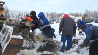 Два КамАЗа дров отправят из Воронежской области в зону СВО