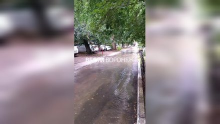 Водоканал назвал причину задержки ремонта на месте коммунальной аварии в центре Воронежа