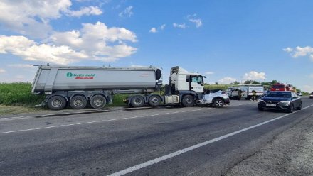 Водителя грузовика арестовали после гибели матери и 2 детей в ДТП в Воронежской области