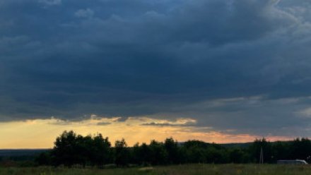 Два украинских дрона сбили на западе Воронежской области