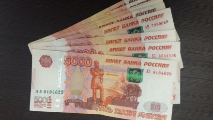 Средняя зарплата воронежцев выросла до 52 тыс. рублей