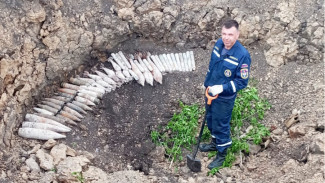 Более 50 боеприпасов времён Великой Отечественной войны взорвали в Воронежской области