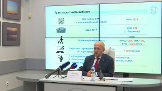 В Воронежской области начали принимать заявки для дистанционного голосования