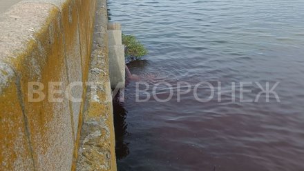 Вода в Воронежском водохранилище окрасилась в кроваво-красный