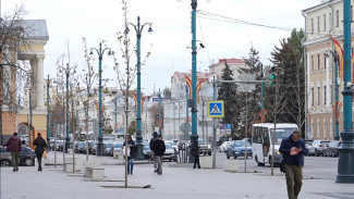 Незелёный город. Почему молодые деревья умирают на улицах Воронежа