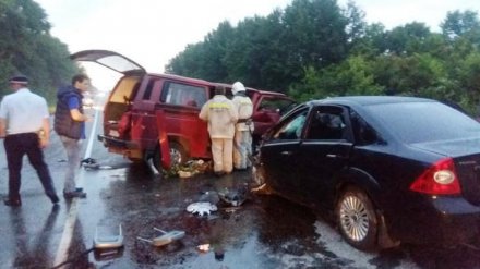 Выжила только девочка. Полиция сообщила подробности ДТП с 8 погибшими под Воронежем
