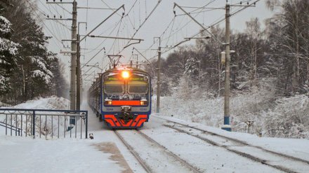 В Воронежской области вновь подорожает проезд в электричках