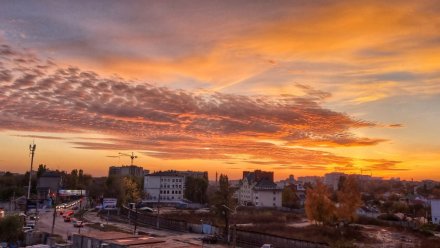 Небо над Воронежем украсил огненно-розовый закат
