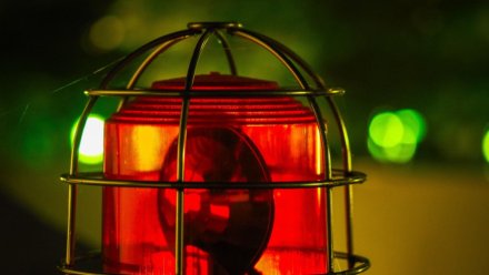 Воронежцев эвакуировали из ТЦ «Арена»