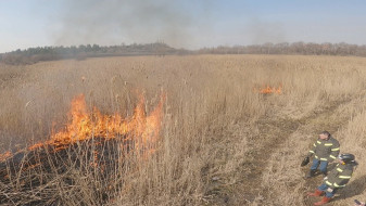 Воронежские спасатели начали жечь траву перед особым противопожарном режимом