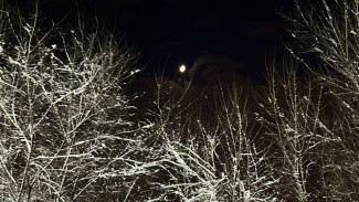 Прогноз погоды в Воронеже на 3.12.2025