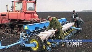 Некоторые районы отстают от графика посева зерновых из-за плохой погоды