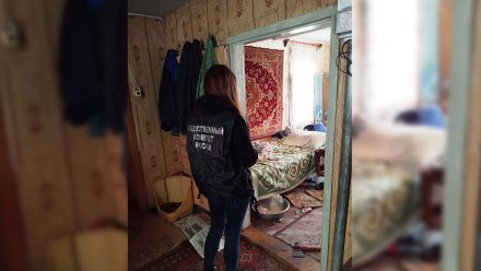 В Воронежской области пенсионер зарубил гостя топором 