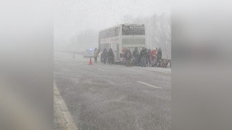 На воронежской трассе в метель застрял автобус с 65 пассажирами