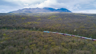 Через Воронеж запустят новый поезд к курортам Северного Кавказа