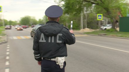 В Воронежской области пьяный пассажир избил гаишника