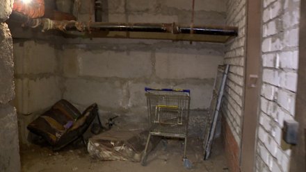 Губернатор отреагировал на жалобы воронежцев о состоянии укрытий