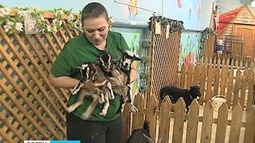 Счастливчик, Везунчик и Удача Воронежского зоопарка