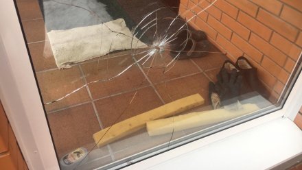 Под Воронежем пуля пробила окно частного дома