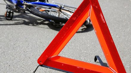 На трассе в Воронежской области под колёсами «ВАЗа» погиб велосипедист