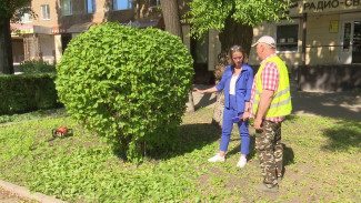 Коммунальщик вырезал из куста двухметровое сердце у дороги в Воронеже 