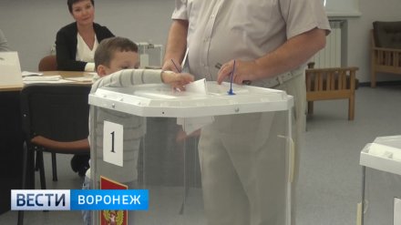 На выборах губернатора Воронежской области зарегистрировали самую низкую явку за 4 года