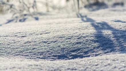 Синоптики пообещали 23-градусные морозы в Воронежской области