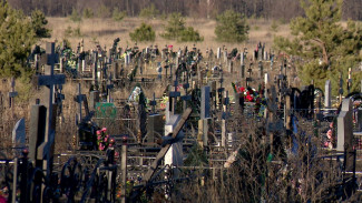 Восемь биотуалетов установят на воронежских кладбищах 