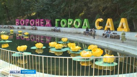 Девятый воронежский фестиваль «Город-сад» стал рекордным по посещаемости