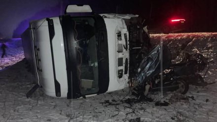 Водитель Audi погиб в Воронежской области после столкновения с грузовиком