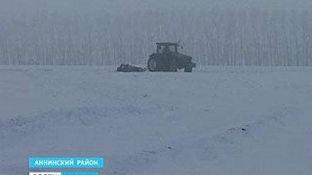 В Аннинском районе решили вспомнить забытый агротехнический приём