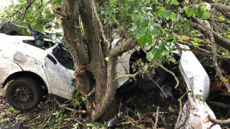 Водитель и пассажир «Лады» погибли в страшной аварии под Воронежем 
