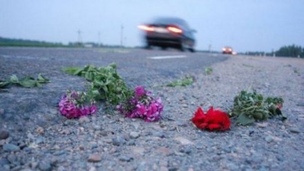 Стало известно, сколько человек погибли в воронежских ДТП в 2019 году