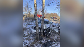 Пассажирка легковушки погибла после ДТП с деревом под Воронежем