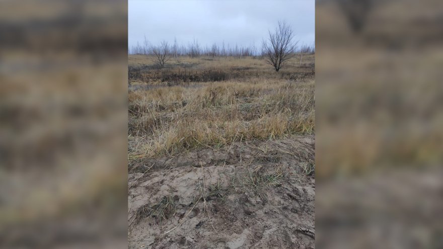 Пропавшего в воронежском микрорайоне таксиста нашли зарезанным в лесополосе
