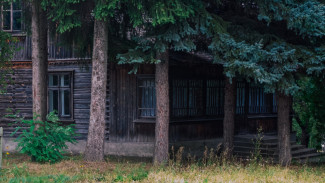 В Воронежской области выставили на продажу базы отдыха возле дубового леса