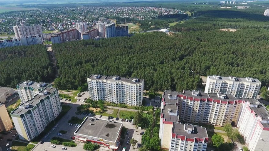 Воронежцы выйдут на генеральную уборку Северного леса