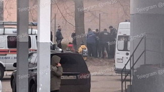 В Воронеже спасатели распилили волейбольную сетку из-за застрявшего пальца школьника