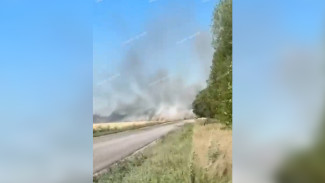 В совхозе под Воронежем потушили сильный пожар