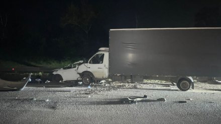 Под Воронежем разбился 69-летний водитель Hyundai Solaris