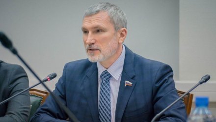 Воронежский депутат Госдумы предложил запустить экономику национального возрождения