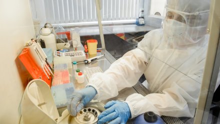 За сутки коронавирус нашли у 265 воронежцев