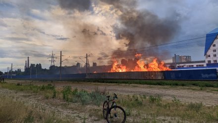 На левом берегу Воронежа пожарные четыре часа тушили мусор у железной дороги